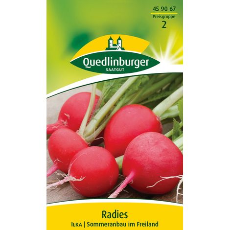 Quedlinburger Saatgut – Radis Ilka – Graines de légumes, gros radis rond rouge vif, pour env. 5 mètres linéaires (1/2)