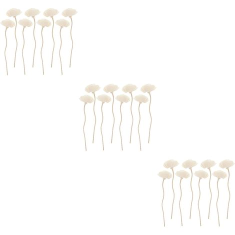 24pièces Bâtonnets De Diffusion Aromathérapie Rotin Décoration Intérieure Fleurs Accessoires Parfumés pour Ambiance Relaxante (1/5)