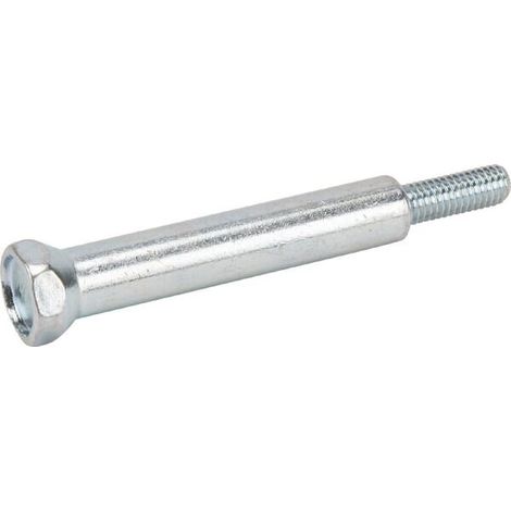 Briggs- und Stratton-Schraube 793495