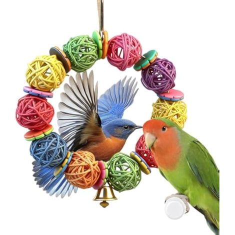 Accessoires de morsure pour animaux de compagnie (1/5)
