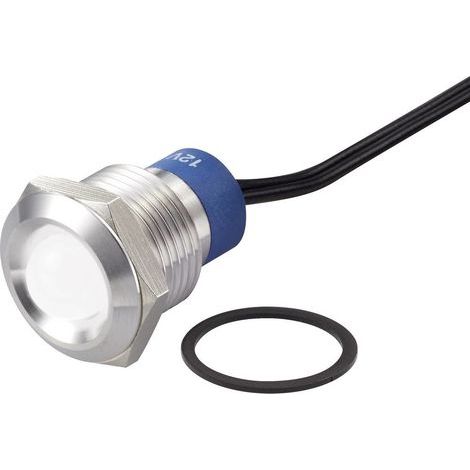 Ampoule LED TRU COMPONENTS TC-7495268 blanc 12 V DC/AC 1 pc(s) C426941 (1/4)