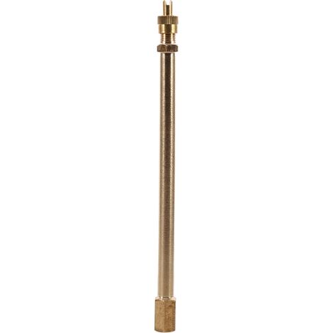 aqxreight 100mm 3.94'' Messing-Reifenventil-Verlängerungsstange mit Messing-Reifenventilverlängerung, einfach zu montieren und zu demontieren für Automatikreifen und (140mm).