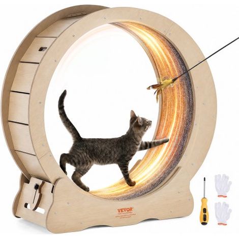 Roue d'Exercice pour Chat 750 mm Grande Roue de Course pour Chat d'Intérieur, avec Tapis Roulant Amovible, Teaser pour Chat pour Courir, Marcher, Entraînement, Convient à la Plupart des Chats (1/3)