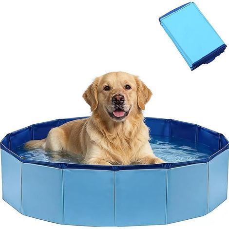 80×20cm Piscine pour Chiens Piscine De Jeu pour Chiens Et Chats Piscine Pliable pour Animaux Piscine Pliable Adaptée Aux Chiens De Petite Et Grande Taille (1/5)