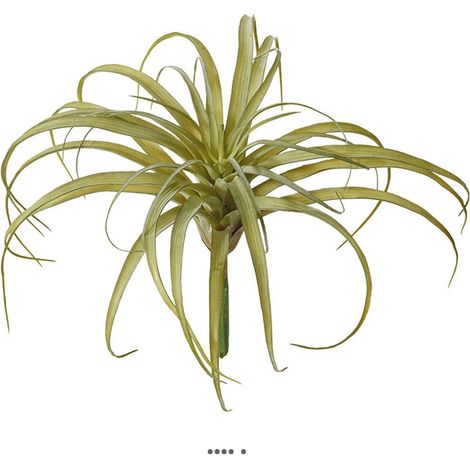 Tillandsia artificiel en piquet H 23 cm D 30 cm vert aloe (1/3)