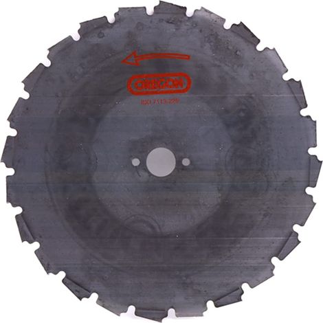 Oregon Disco per Decespugliatore con Foro Centrale da 25,4 mm, Adatto a Tagliare Vegetazione Spessa e Legnosa, Professionale e Resistente, Lama di Tipo EIA per Tagliaerba da 30 cc e oltre, 255 mm (1/5)