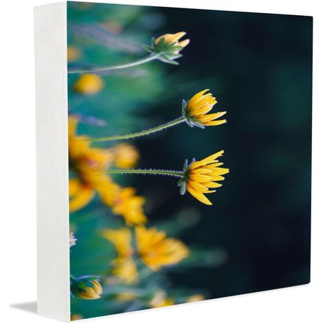 Cadre photo commémoratif, panneaux et plaques décoratifs pour nouveaux parents, boîte décorative en bois pour bureau de style rustique. (1/5)