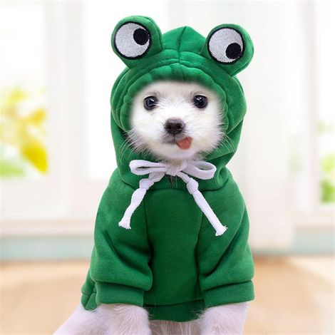 Sweat à capuche pour chien avec poches, vêtement chaud pour chien - convient aux petits chiens, chihuahuas, chiots et chats (S) (1/3)