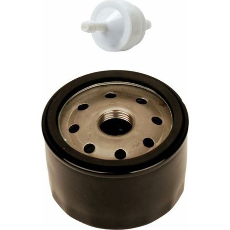 Filtre à Huile 492932 492056 492932S 695396 696854 AM125424 avec Filtre à Carburant 394358 394358S AM38708 pour Tondeuse à Gazon Briggs & Stratton (1/4)