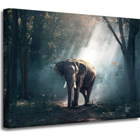 Impression sur toile Animaux Éléphant 40x30 cm
