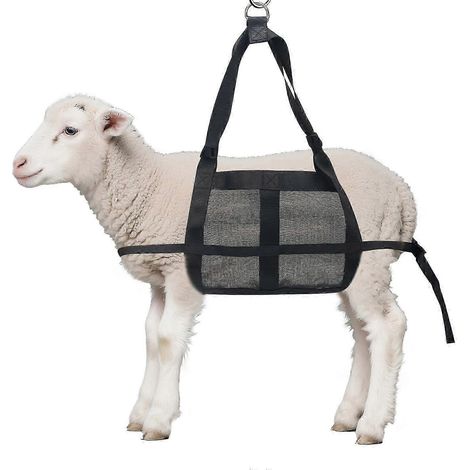 Sangle de pesage pour bétail avec sangles réglables - Harnais de levage pour veau, chèvre, chien et porc, solution de portage polyvalente (1/5)