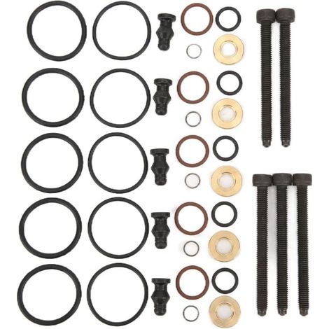 ZVD Kit de joints d'injecteur de carburant de voiture avec 5 boulons 038198051B de remplacement pour 2.5TDI R5 128kw 174hp 2003-2010 (1/4)
