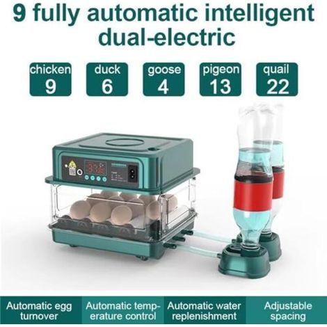 Incubateur entièrement automatique, incubateur pour 10 à 36 œufs avec rotation automatique des œufs et humidification automatique, incubateur avec indicateur d'humidité pour poulets, (1/4)