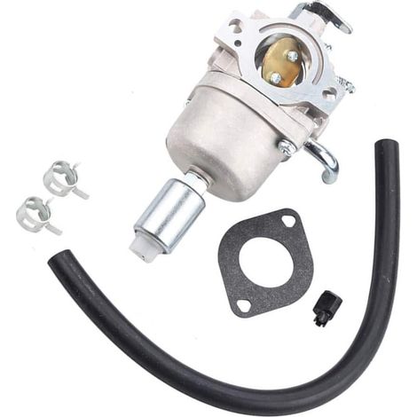 Carburateur compatible avec les modèles 591731, 593514, 594593, 697141, 697190, 698445 et 790418 (1/5)
