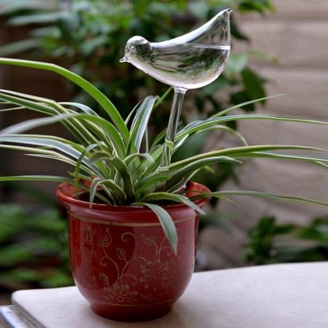 Arrosoir Automatique En Verre - Globe D'arrosage Pour Plantes D'intérieur Et D'extérieure - 23 x 10 cm - 1 Pièce (1/5)