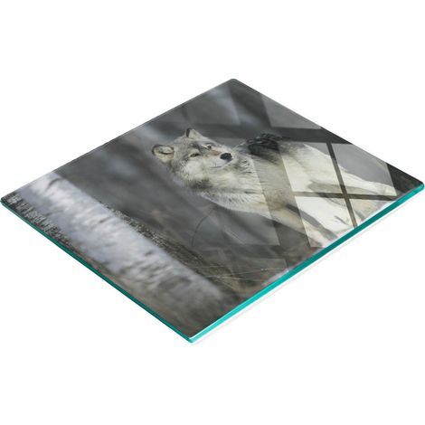 Tablero de vidrio decorativo multifuncional para cocina, color gris lobo, 60x52 cm.