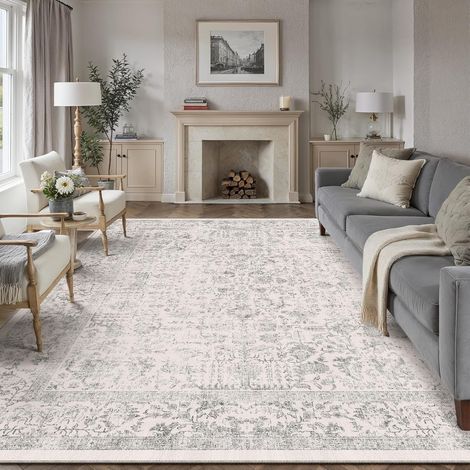 Tapis Salon 200x300cm Gris Lavable en Machine Rug (1/5)