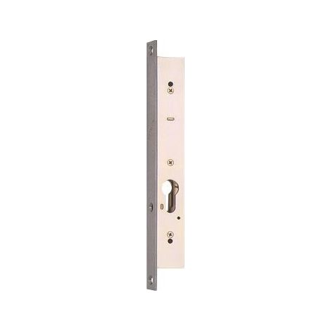 Einsteckschloss 2-Punkt oben und unten METALUX N30-39,5 mm - Dornmaß 24,5 mm - ohne Schließblech - F130393000 (1/2)
