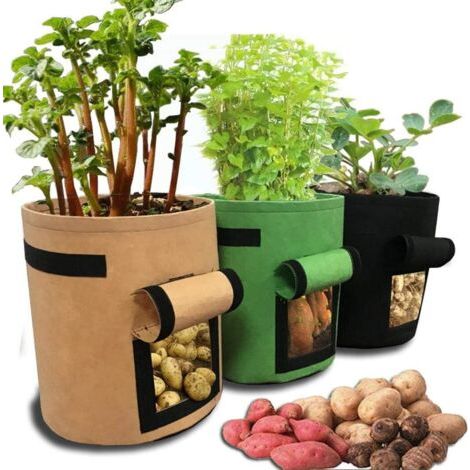 QORVA-Sac de jardinage pour plantes et légumes 30x30x35cm – Tissu Noël tissé anti-corrosion – Fenêtre respirante – 1 sac de culture - 8inch (1/5)