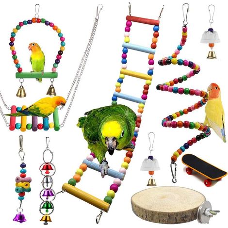 Jouet pour Perroquet, Lot de 10 Pièces, Perroquets, Jouet Perroquet, Animaux, Jouet Oiseau, Entretien Courant (1/5)