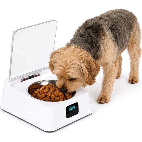 Distributeur Croquettes Chat Automatique, 350 ML Distributeur de Croquettes pour Chat avec Capteur Infrarouge et Couvercle Basculant Gamelle Chat Automatique Pratique pour Petits et Moyens Animaux (1/5)