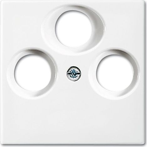 Placa de acabado Busch-Jaeger 1743-03-914 termoplástico brillante IP20