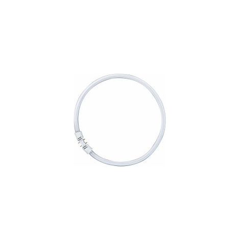 Tube fluorescent Osram lumilux t5 55 W 6500 K (1/3)