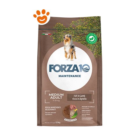 Forza10 Dog Maintenance Medium Maintenance Agnello e Riso - Forza10 Dog Maintenance Medium Maintenance Agnello e Riso - Sacco Da 12 Kg