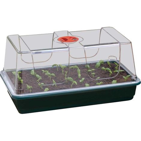 Grand plateau en plastique de semis (1/4)