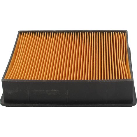 Outdoor Power Sport 5952 Filtre à air adaptable Robin