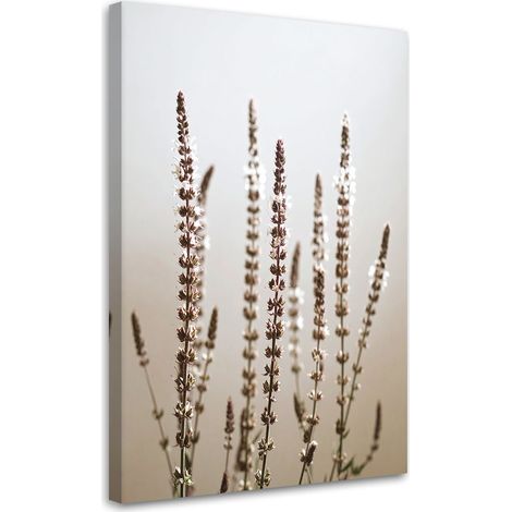Wandbild Trockene Pflanzen Natur beige 40x60 cm (1/5)