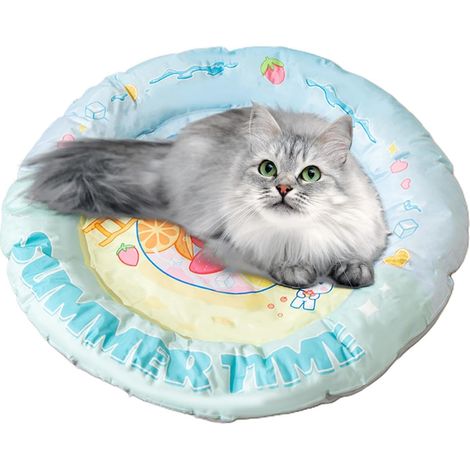 Cooling Mat for Cats, Cooling Mat for Dogs, Cute Dog Sleeping (1/5)