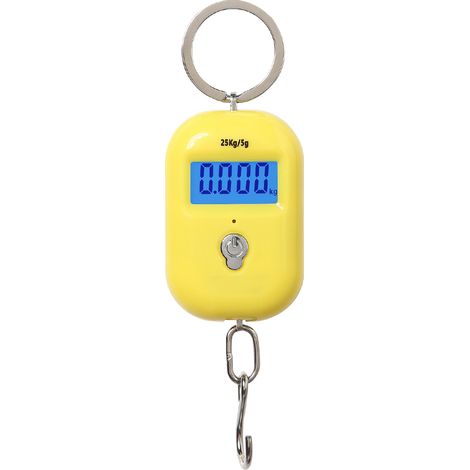 Mini Luggage Scale Portable Electronic Scale Digital Fish Scale with Zero Tracking Function 25kg Double-range Scale Digital Hanging Scale (1/4)
