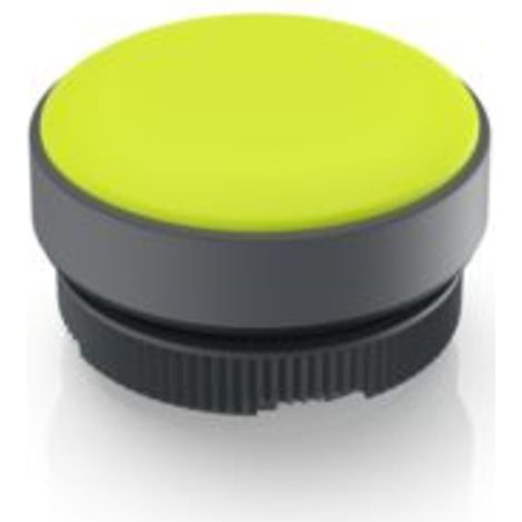 RAFI 1.74.508.001/2400 Indicateur lumineux jaune 1 pc(s) V303763