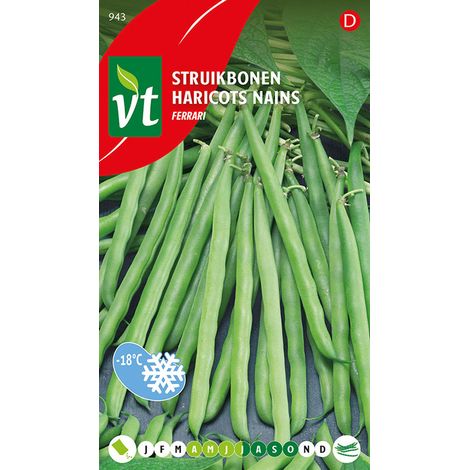 Haricots Nains Ferrari - Ca. 50 gr (Livraison Gratuite) (1/2)