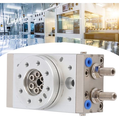 Cylindre rotatif à crémaillère MSQB30A (1/5)