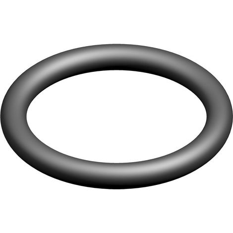 BOSCH O-Ring 17,96x2,62 (10x), 7099348 (1/2)