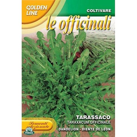 BUSTINA CON SEMI DI TARASSACO OFFICINALE