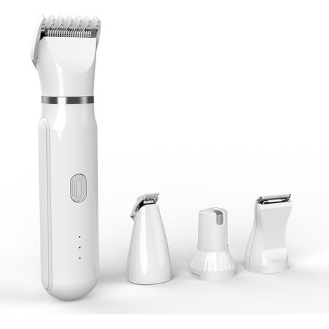 Kit de toilettage et d'hygiène 4 en 1 pour chiens et chats, silencieux, poignée antidérapante, pour l'entretien à domicile du pelage et des griffes.-AquaForge (1/5)
