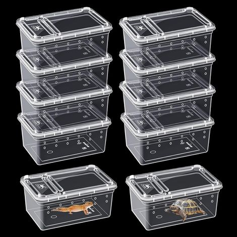 10 pièces Boîte d'alimentation pour reptiles, cage d'habitat animal transparent pour araignées, terrarium pour reptiles, boîte d'élevage en plastique pour tortue, araignée, grenouille, scorpion (1/5)