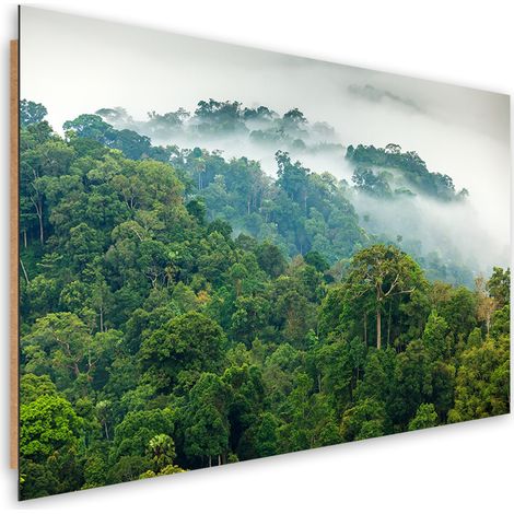 Quadro deco panel, Foresta nella nebbia - 60x40 (1/5)