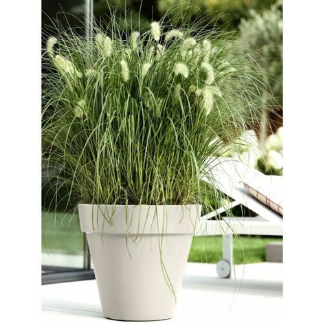 Vaso Elho Bianco 39 x 36 cm