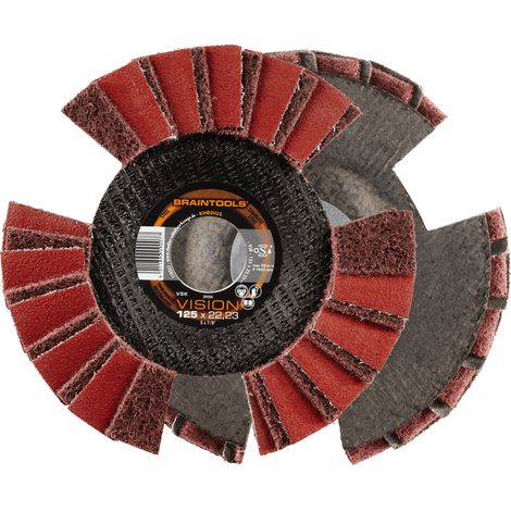RHODIUS VSK VISION, 10 Stück, 125 mm, Fächerschleifscheibe (1/3)