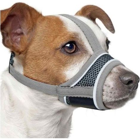 Muselière Chien, Masque Respirant pour Animaux de Compagnie, Museliere pour Chiens Ajustable, Muselière de Formation de Chien (1/5)