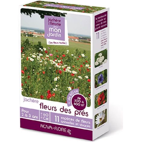 Graines de fleurs des prés – Semis de mars à juin – Hauteur 60 cm – Mélange de fleurs pour pollinisateurs – 500g – Achat Nature