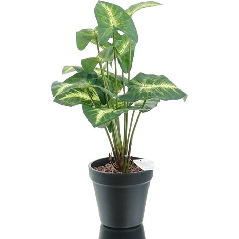 GASPER Purpurtute - Syngonium pixi Grün-Gelb Kunststofftopf 38 cm - Kunstpflanzen (1/2)