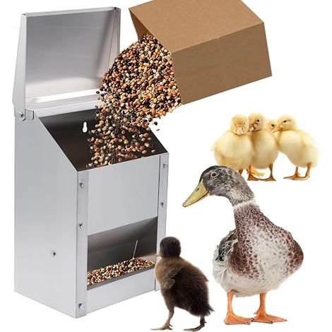 Metal Automatic Chicken Feeder with Lid Wall Feeder Automatic Food Dispenser for Hens, Ducks, Poultry (1/5)