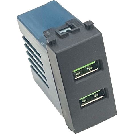 ETTROIT Presa USB Caricatore USB 5V 2,1A 2 Porte USB-A Colore Nero Compatibile Con Vimar Arke