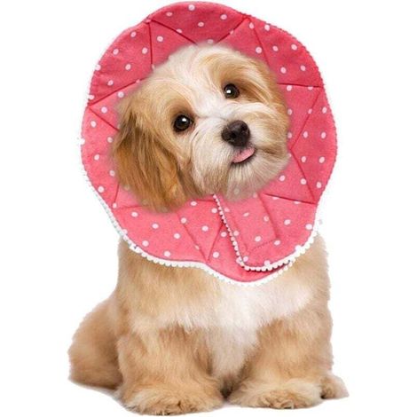 Comfortable postoperative collar for cats and dogs, robust, waterproof, scratch and bite resistant, easy to clean, with adjustable closure (1/4)