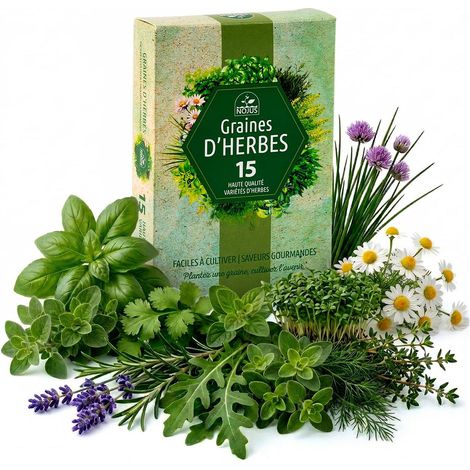 Nojaus Seklos - Lot de 15 graines d'herbes aromatiques de qualité supérieure, pour une utilisation en intérieur et en extérieur (1/5)
